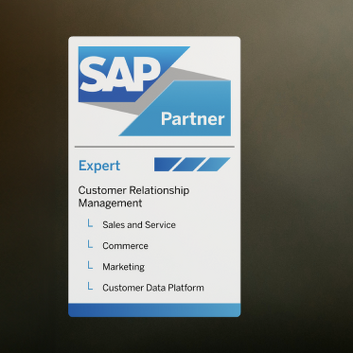SAP CX Partner