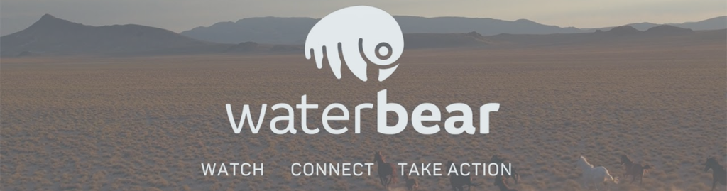 Water Bear3 About